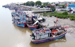 Tái diễn tình trạng tàu cá Thanh Hóa khai thác trái phép tại vùng biển quốc gia khác