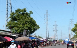 Lấn chiếm hành lang an toàn lưới điện 110KV ngay tại thành phố Thanh Hóa