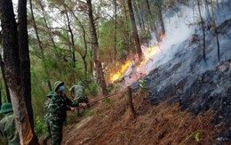 Dự báo và thông tin cấp dự báo cháy rừng từ ngày 04/7 - 06/7/2023 trên địa bàn tỉnh Thanh Hóa