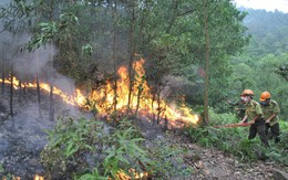 Dự báo và thông tin cấp dự báo cháy rừng từ ngày 07/7 - 10/7/2023 trên địa bàn tỉnh Thanh Hóa
