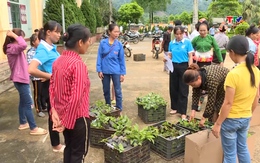 Trao tặng cây giống và ra mắt Tổ hợp tác trồng chanh leo do phụ nữ làm chủ xã Thanh Sơn huyện Như Xuân
