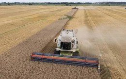 Ba Lan gia hạn lệnh cấm đối với ngũ cốc Ukraine để bảo vệ thị trường nội địa