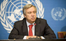 Tổng thư ký Liên hợp quốc kêu gọi triển khai lực lượng quốc tế đến Haiti