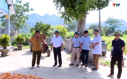 Xử phạt công ty làm phát sinh ruồi, nhặng, gây ô nhiễm môi trường tại xã Thành Công, huyện Thạch Thành