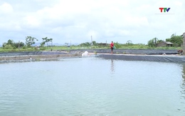 Bảo đảm an toàn nuôi trồng thủy sản trong mùa mưa bão