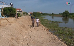 Đê tả sông Càn, huyện Nga Sơn sạt lở nghiêm trọng
 đe dọa cuộc sống của người dân