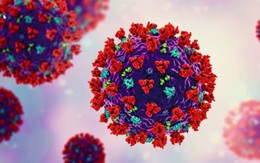 WHO theo dõi biến thể virus SARS-CoV-2 mới  BA.2.86