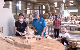 Tỉnh Thanh Hóa có 178 doanh nghiệp chế biến gỗ
