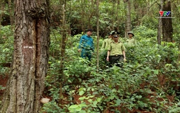 Ứng dụng khoa học công nghệ trong công tác quản lý và bảo vệ rừng