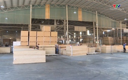 Tín hiệu tích cực cho doanh nghiệp gỗ xuất khẩu