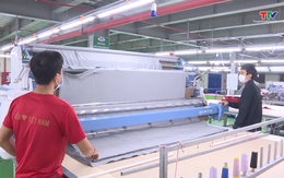 50% doanh nghiệp dệt may đã thực hiện xanh hóa sản xuất