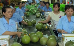 Nhiều cơ hội cho hàng hóa Việt Nam xuất khẩu sang thị trường EU