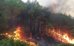 Dự báo và thông tin cấp dự báo cháy rừng từ ngày 01/9 - 04/9/2023 trên địa bàn tỉnh Thanh Hóa