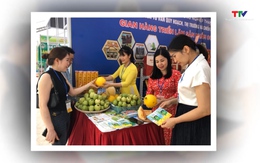 Hội chợ triển lãm Nông nghiệp Quốc tế lần thứ 23 - AgroViet 2023