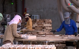 Việt Nam nhập khẩu hơn 800 loại gỗ
