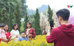 Các điểm vui chơi thành phố Thanh Hóa thu hút khách dịp Tết dương lịch