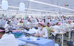 Hiệu quả hoạt động của các doanh nghiệp FDI tại Thanh Hóa