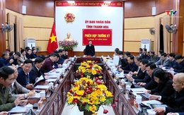 Phiên họp thường kỳ Ủy ban Nhân dân tỉnh tháng 1 năm 2024