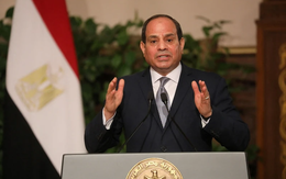 Ai Cập kêu gọi những nỗ lực nghiêm túc nhằm thành lập một nhà nước Palestine độc lập