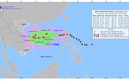 Bão Trà Mi di chuyển theo hướng Tây, tốc độ khoảng 15km/h