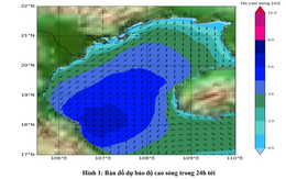 Cảnh báo các vùng biển có nguy cơ cao chịu tác động của gió mạnh và sóng lớn