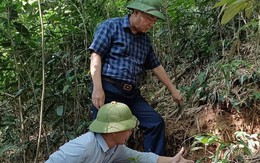 Công bố tình huống khẩn cấp sạt lở, sụt lún đồi đất tại thôn Đồng Phông, xã Phượng Nghi, huyện Như Thanh, tỉnh Thanh Hóa