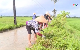 Công điện về việc tập trung chỉ đạo, triển khai các biện pháp nhanh chóng phục hồi sản xuất nông nghiệp sau bão số 3 và mưa lũ