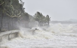 Chủ động ứng phó với bão Toraji