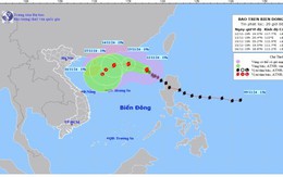 Baõ số 8 giật cấp 12, di chuyển theo hướng Tây Bắc, tốc độ khoảng 10km/h