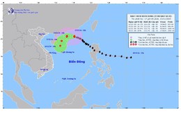 Bão số 8 giật cấp 11, di chuyển theo hướng Tây Tây Bắc của khu vực Bắc Biển Đông