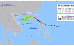 Bão số 8 mạnh cấp 9, giật cấp 11