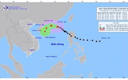 Bão số 8 mạnh cấp 8-9, giật cấp 11