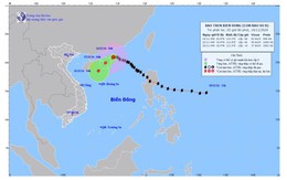 Bão số 8 trên Biển Đông có sức gió giật cấp 10