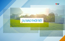 Dự báo thời tiết khu vực tỉnh Thanh Hóa đêm 14/11, ngày 15/11/2024