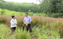 Điểm sáng thu hút vốn đầu tư nước ngoài vào lĩnh vực Tài chính Vi mô tại Thanh Hóa