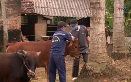 Phòng dịch cho đàn vật nuôi thời điểm giao mùa