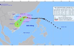 Cập nhật: Tin bão trên biển Đông (Cơn bão số 07)