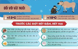 Khuyến cáo các biện pháp phòng, chống rét đậm rét hại