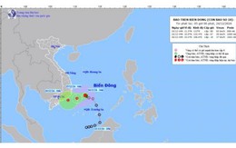 Cập nhật: Tin bão trên Biển Đông (Cơn bão số 10)