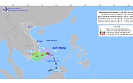 Bão số 10 giật cấp 10, di chuyển theo hướng Tây Tây Nam
