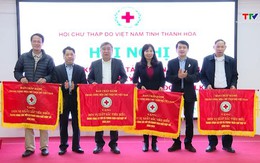 Hội Chữ thập đỏ tỉnh triển khai nhiệm vụ năm 2025