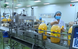 Doanh nghiệp sản xuất công nghiệp Thanh Hoá nỗ lực tìm thị trường