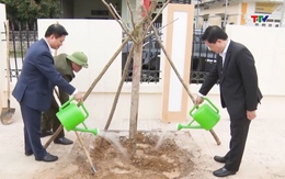 Thanh Hóa phấn đấu trồng 3 triệu cây xanh dịp Tết Nguyên đán Giáp Thìn năm 2024  