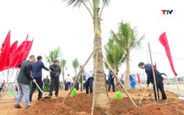 Năm 2024, thành phố Sầm Sơn đặt mục tiêu trồng mới trên 120.300 cây xanh các loại