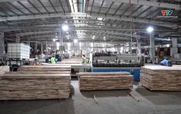 Kim ngạch xuất khẩu gỗ và sản phẩm từ gỗ tăng 72,5%