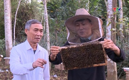 Công nghệ hạ thủy phân trong sản xuất mật ong