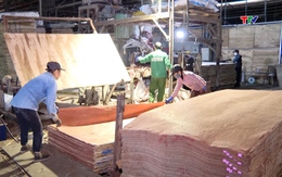 Ngành gỗ Thanh Hoá nỗ lực tìm thị trường, đẩy mạnh xuất khẩu