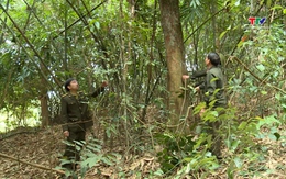 Hiệu quả công tác phối hợp bảo vệ rừng giáp ranh