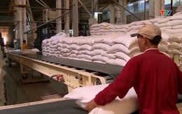 Việt Nam nắm giữ nguồn xuất khẩu gạo lớn thứ ba thế giới