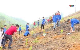 Tặng 15.000 cây keo xanh cho xã Bình Sơn, huyện Triệu Sơn